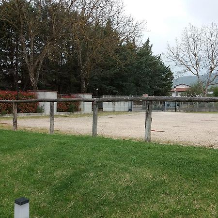 Il Boscaiolo Affittacamere Preturo Dış mekan fotoğraf